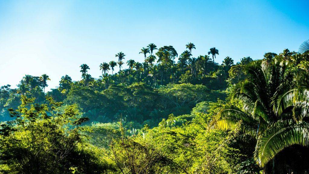Amazonía ecuatoriana