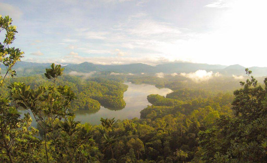 mejor época para visitar la Amazonía del Ecuador